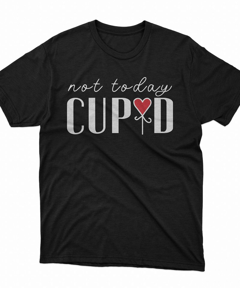 Not Today Cupid Funny Valentine T-Shirt