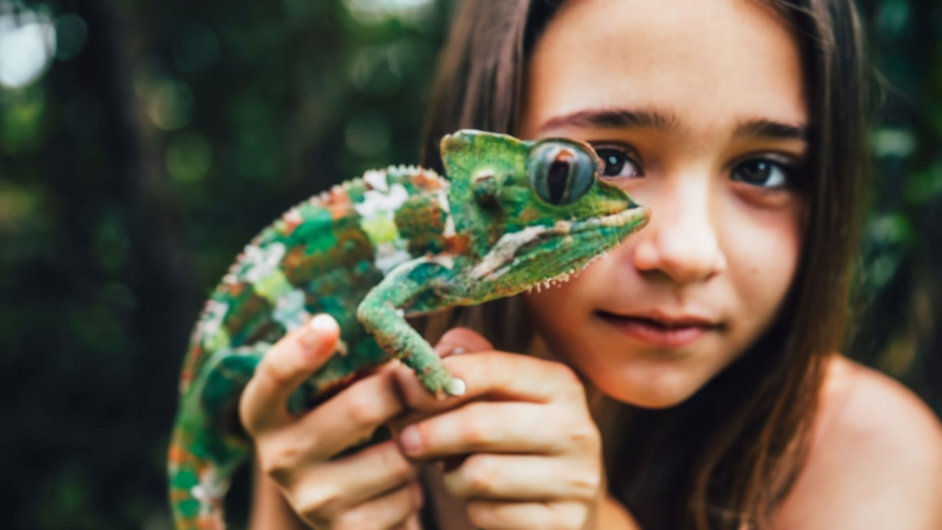 Are Chameleons Good Pets