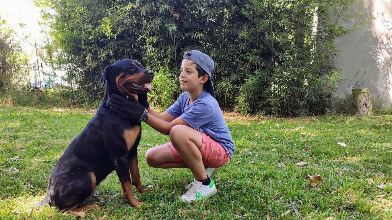 are rottweilers good with kids