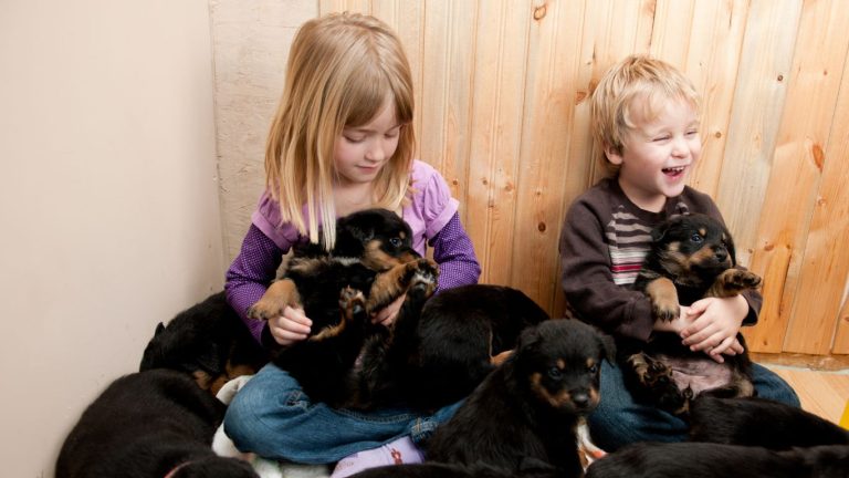 are rottweilers good with kids