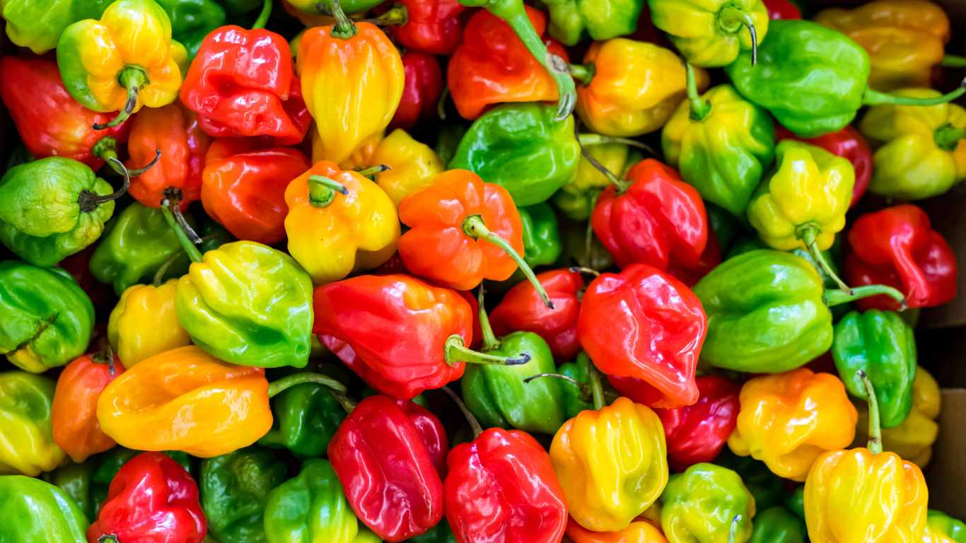 Pepper a Fruit or Veg