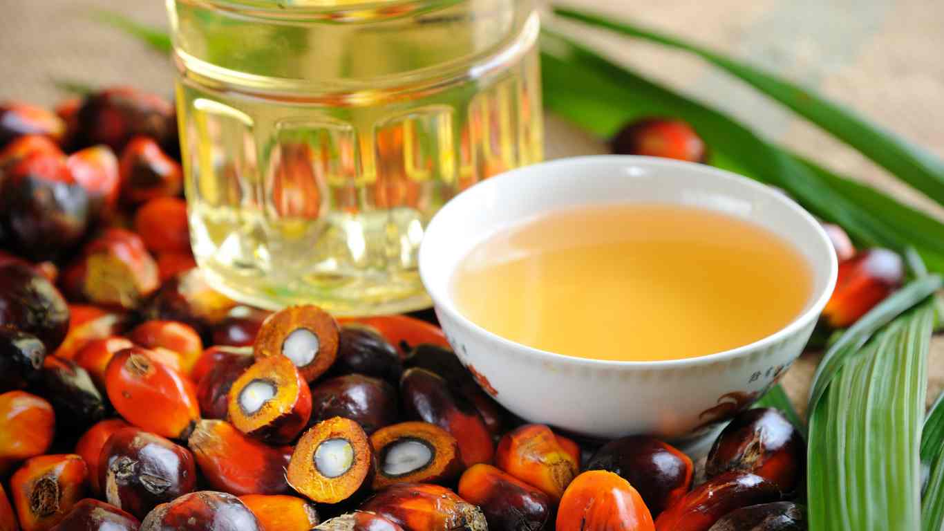 Palm Oil