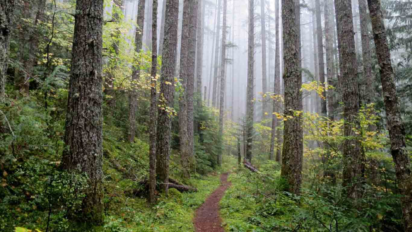 Pacific Northwest Lore