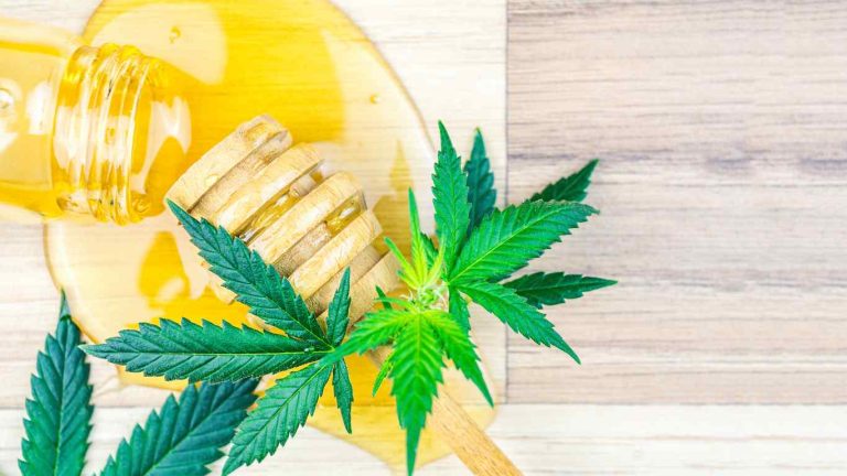 Cannabis Honey