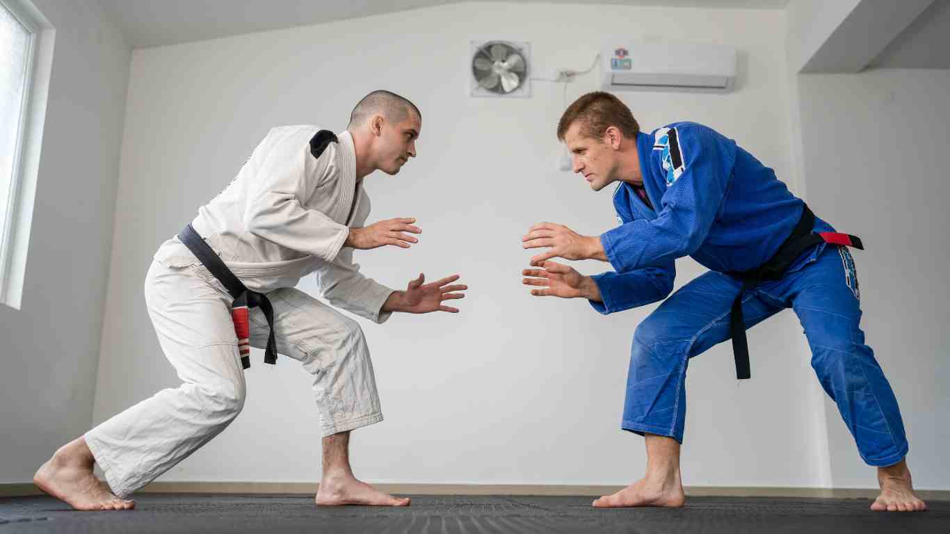 Brazilian Jiu Jitsu For Beginners