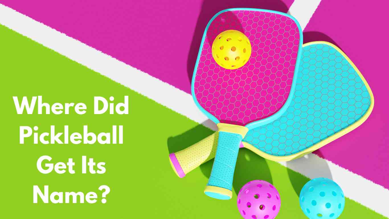 Where Did Pickleball Get Its Name